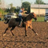 haybale2025